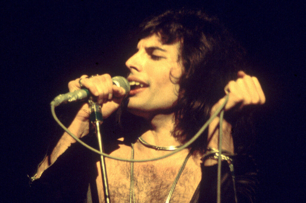 A Photo Of Freddie Mercury